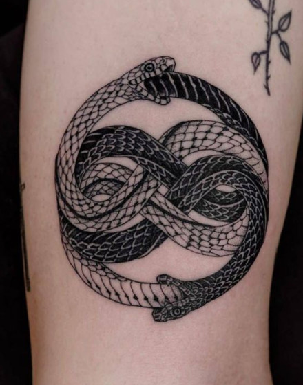 Double Ouroboros