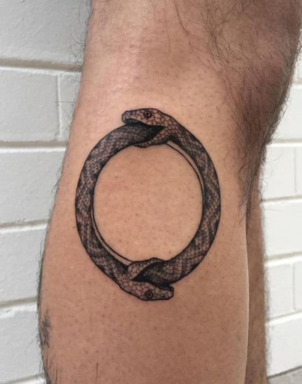 Double Ouroboros