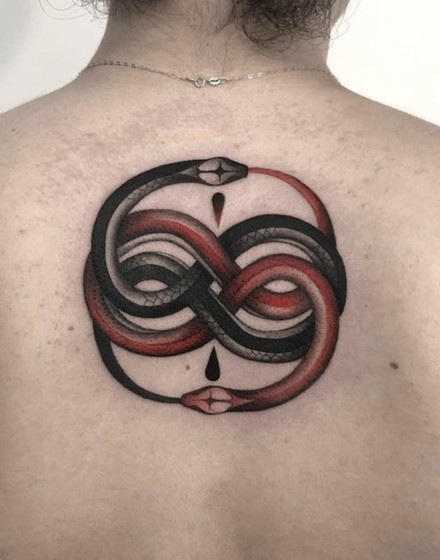 Double Ouroboros
