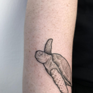 Small turtle tattoo