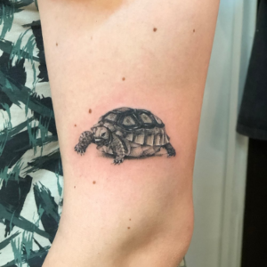 Small turtle tattoo