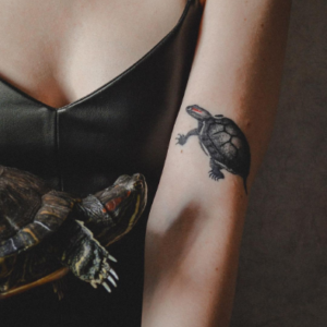 Small turtle tattoo