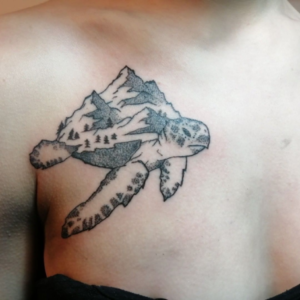 Unusual turtle tattoo