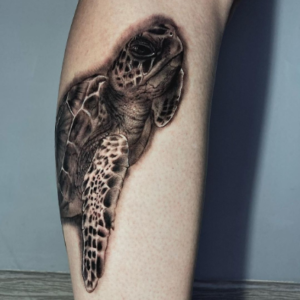 Realistic 3D turtle tattoo