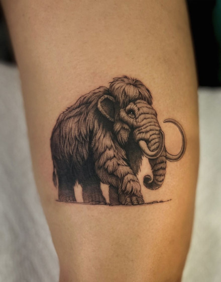 Other Creative Ideas