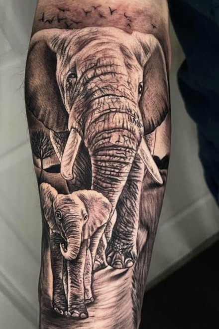 Realistic Elephants