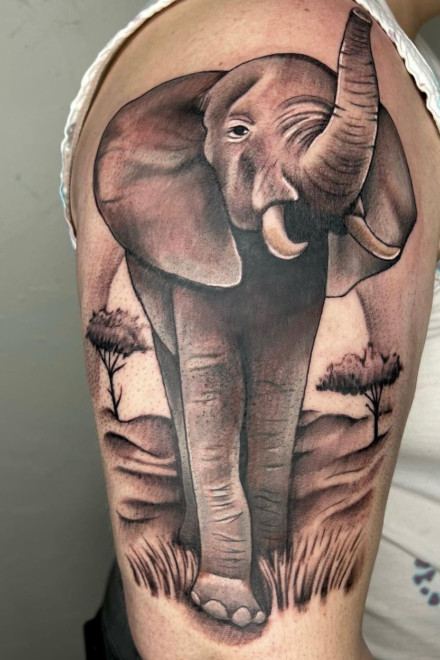 Realistic Elephants