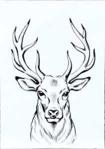Tattoo Drawings of Deer