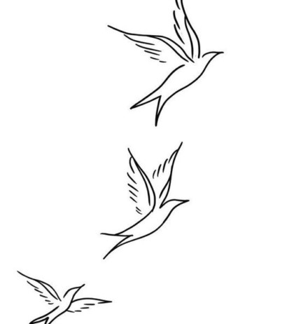 Nature-Inspired Outlines
