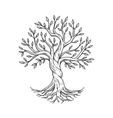 Nature-Inspired Outlines