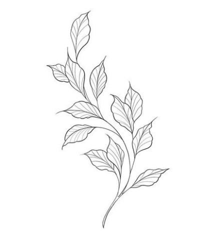 Nature-Inspired Outlines