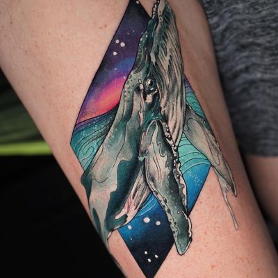 image4 (20)